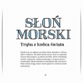 Gęby, dzioby i nochale – środek książki, słoń morski